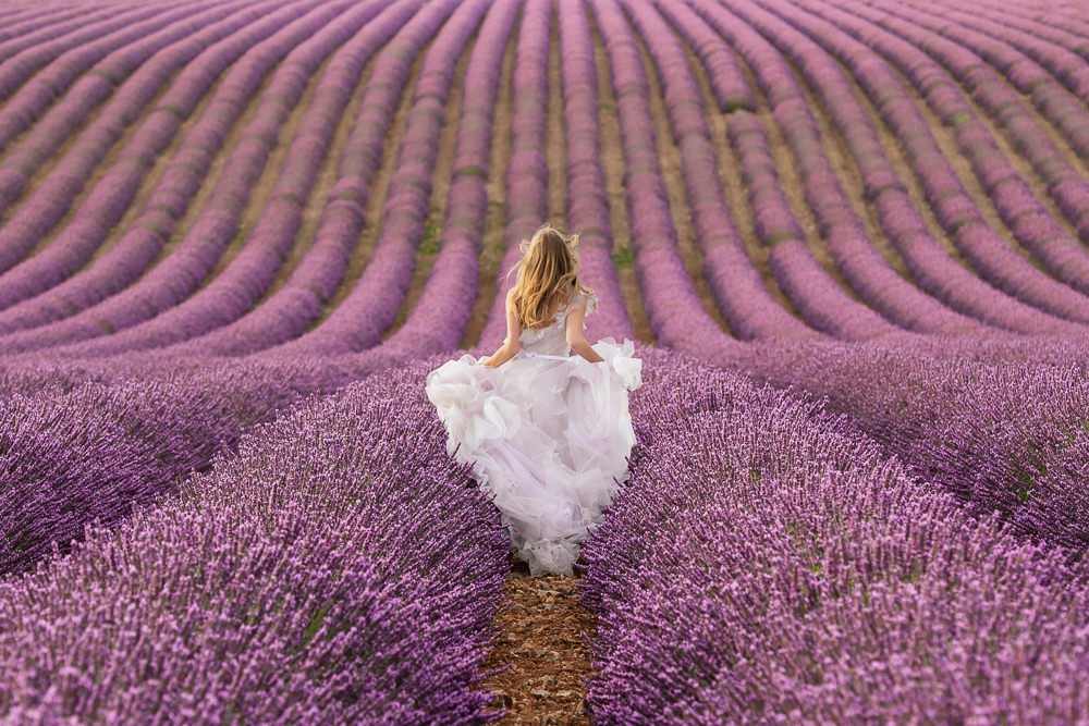 Horizontal framing in photography - bride running in the lavender fields of provence